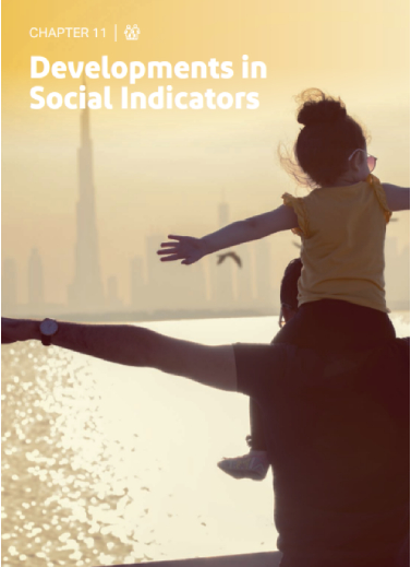 Developments in Social Indicators - Chapter 11
